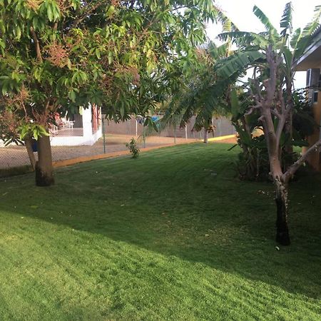 וילמסטאד Quinta Villa מראה חיצוני תמונה