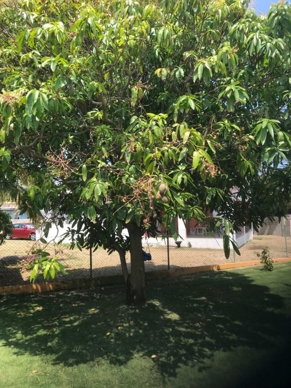 וילמסטאד Quinta Villa מראה חיצוני תמונה