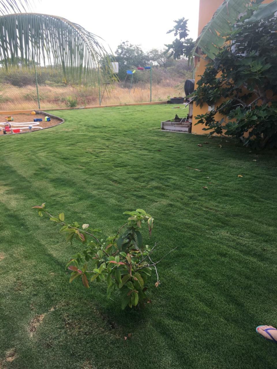 וילמסטאד Quinta Villa מראה חיצוני תמונה